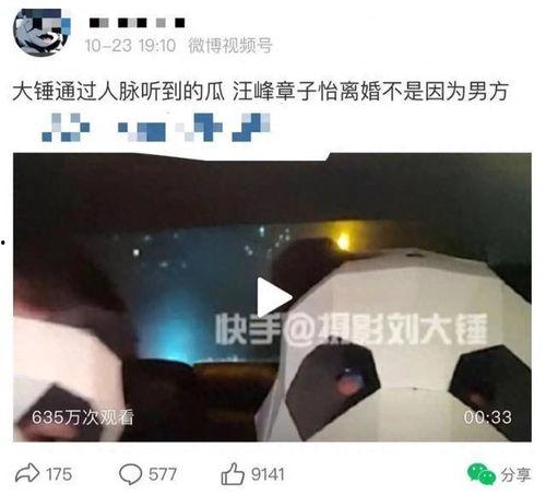 刘大锤爆料恋情最新消息,神秘女友曝光，甜蜜互动引热议
